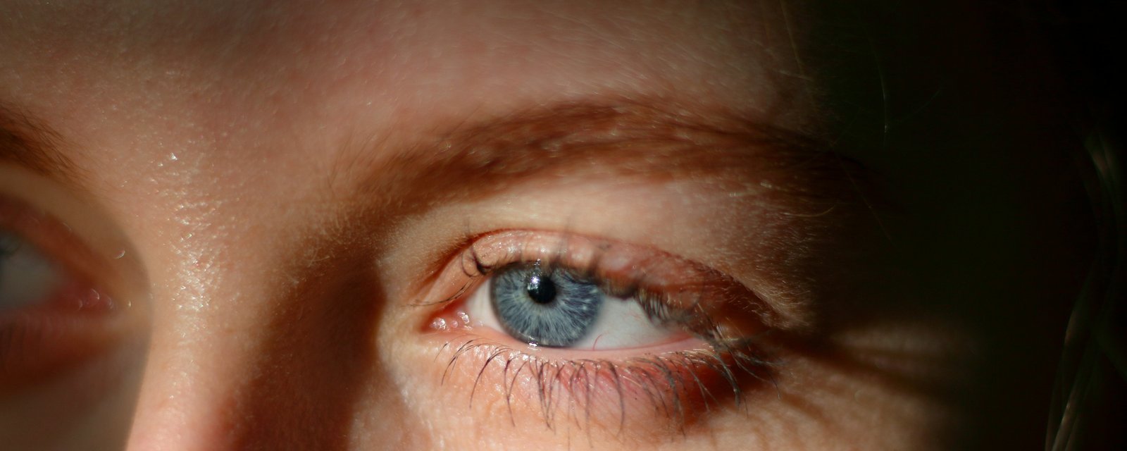 A close view of a blue eye in strong side light